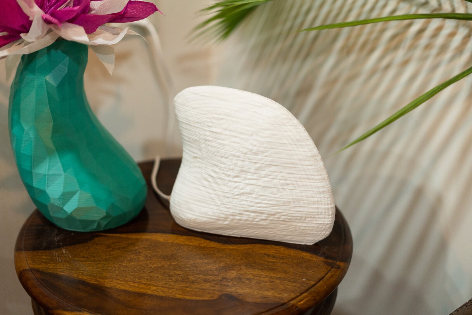Albino Clam