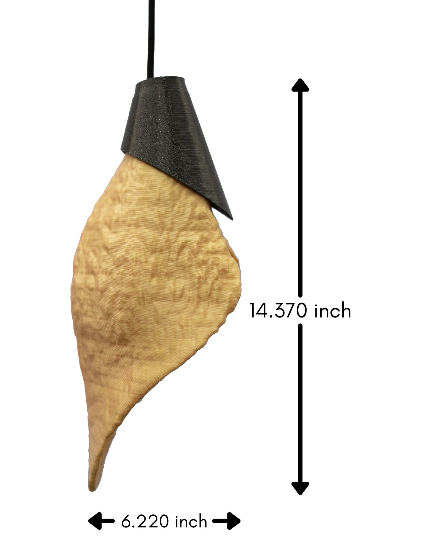 Calla Araceae - Image 8
