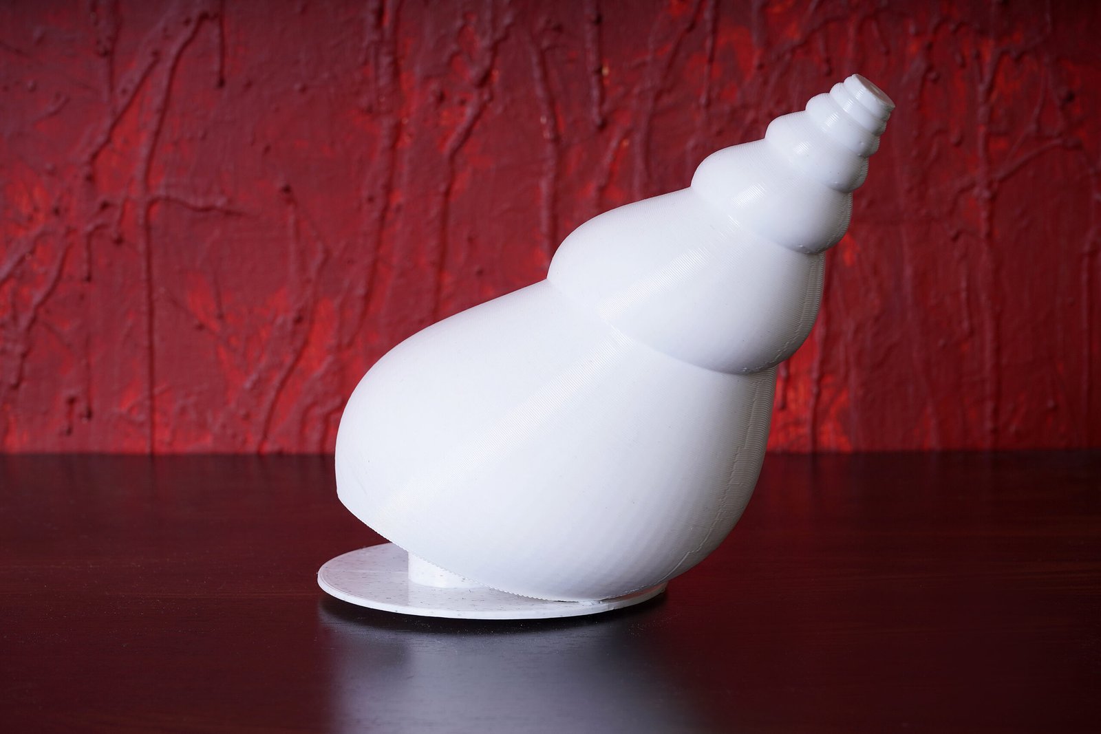 Conch Shell - Image 4