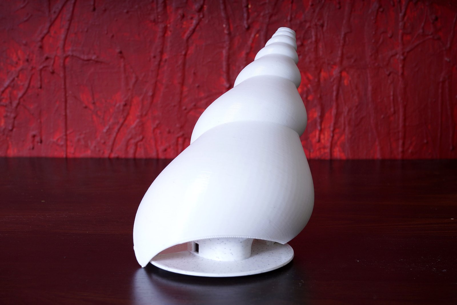 Conch Shell - Image 5