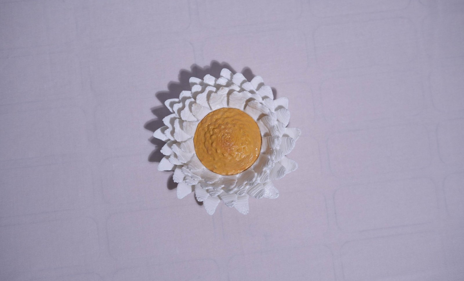 Eclectic Daisies - Image 6