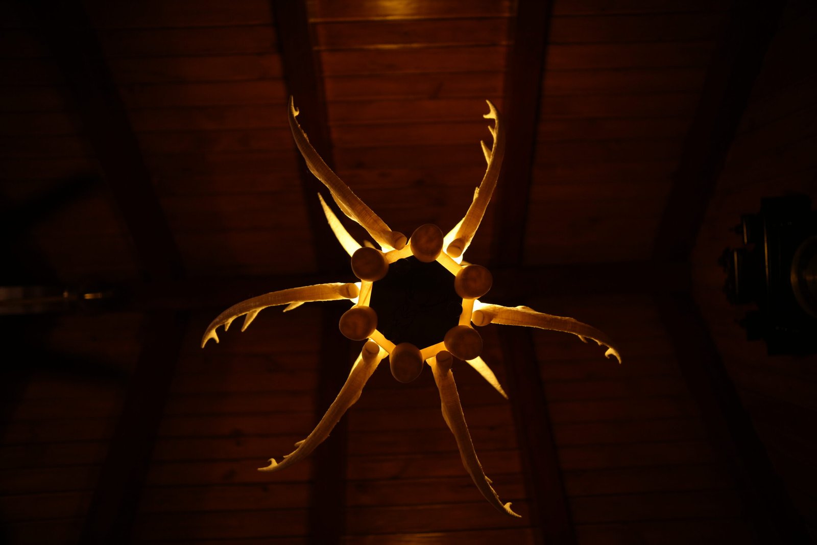 Antler's Chandelier - Image 7