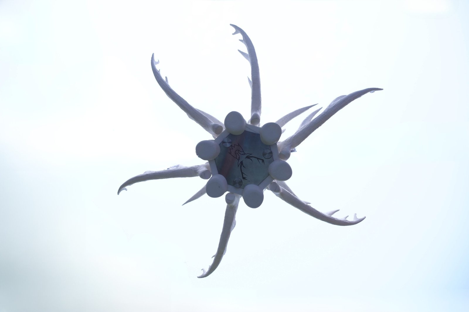 Antler's Chandelier - Image 5