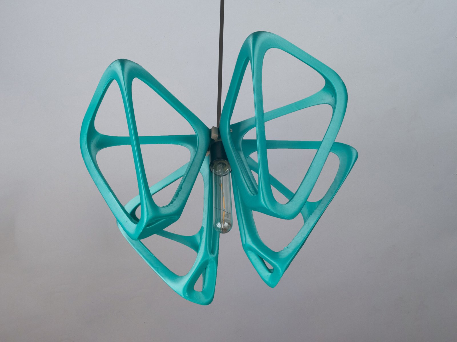 Saint's Clover - Image 6