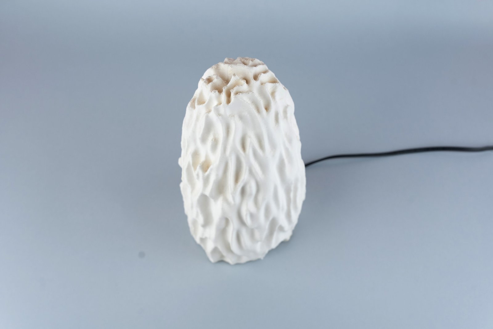 Untouched Coral - Image 4